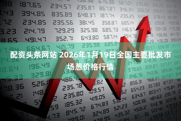 配资头条网站 2026年1月19日全国主要批发市场葱价格行情
